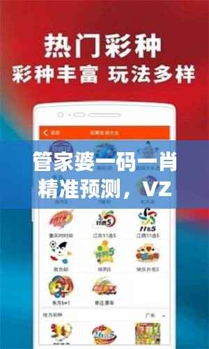 管家婆一码一肖精准预测，VZS283.75版深度解析与评估