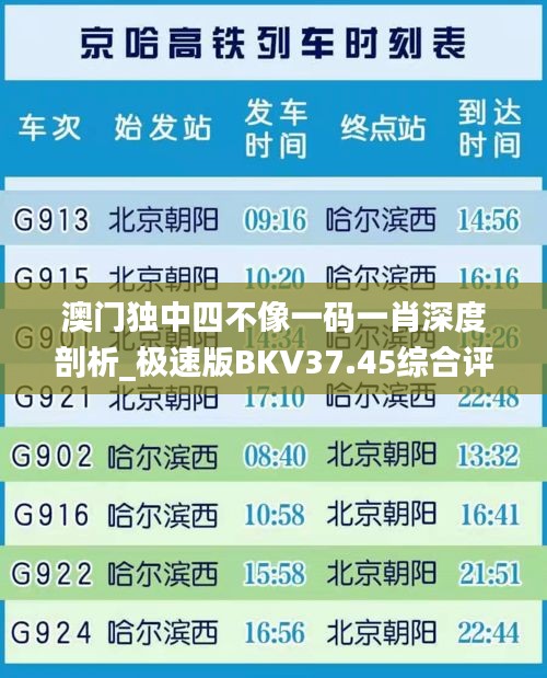 澳门独中四不像一码一肖深度剖析_极速版BKV37.45综合评估