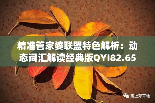 精准管家婆联盟特色解析：动态词汇解读经典版QYI82.65