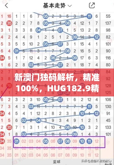 新澳门独码解析，精准100%，HUG182.9精简方案揭晓