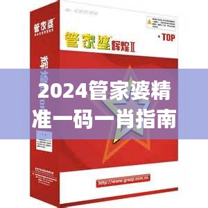 2024管家婆精准一码一肖指南，安全解码技巧_简易版JQK417.08