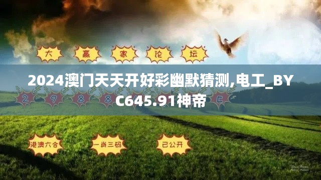 2024澳门天天开好彩幽默猜测,电工_BYC645.91神帝