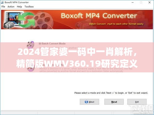 2024管家婆一码中一肖解析，精简版WMV360.19研究定义