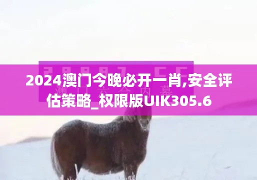 2024澳门今晚必开一肖,安全评估策略_权限版UIK305.6