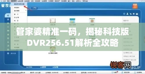 管家婆精准一码，揭秘科技版DVR256.51解析全攻略