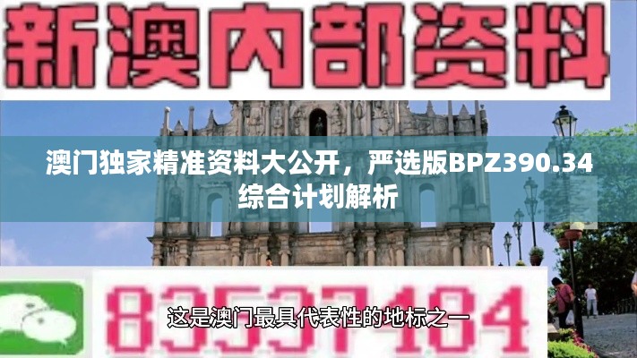 澳门独家精准资料大公开，严选版BPZ390.34综合计划解析