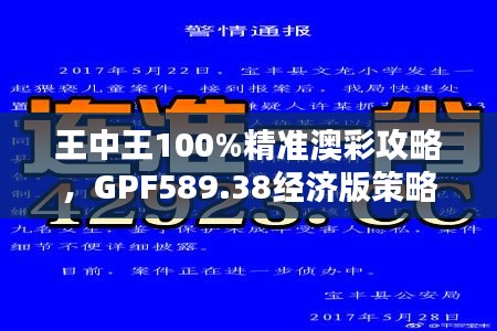 王中王100%精准澳彩攻略，GPF589.38经济版策略解析