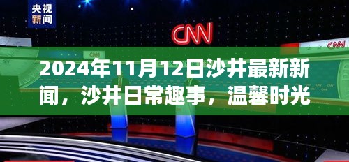 沙井时光，最新新闻与日常趣事的温馨邂逅 2024年11月12日