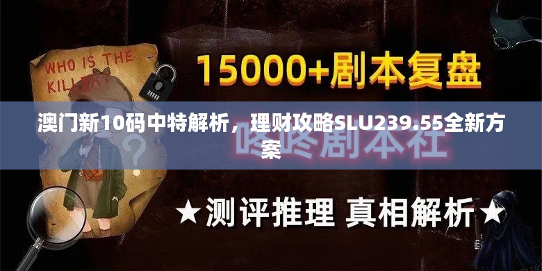 澳门新10码中特解析，理财攻略SLU239.55全新方案