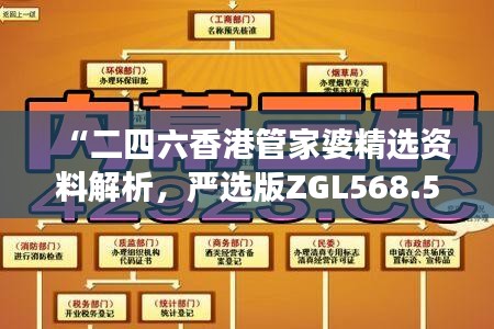 “二四六香港管家婆精选资料解析，严选版ZGL568.5深度解读”