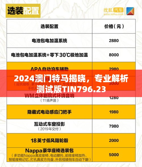 2024澳门特马揭晓，专业解析测试版TIN796.23