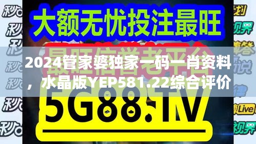 2024管家婆独家一码一肖资料，水晶版YEP581.22综合评价标准