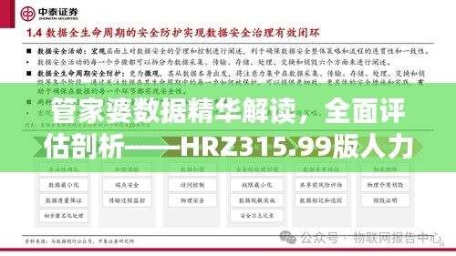 管家婆数据精华解读，全面评估剖析——HRZ315.99版人力资源全面解读