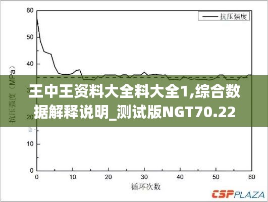 王中王资料大全料大全1,综合数据解释说明_测试版NGT70.22