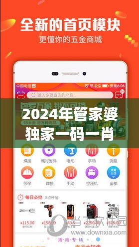 2024年管家婆独家一码一肖解析，全面评测与内置AJT889.72版资料