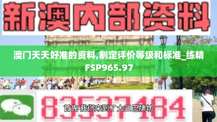 澳门天天好准的资料,制定评价等级和标准_练精FSP965.97