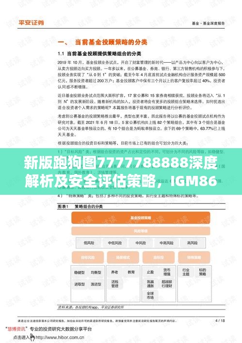 新版跑狗图7777788888深度解析及安全评估策略，IGM861.78改制版方案揭秘