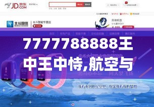 7777788888王中王中恃,航空与宇航技术_引气境WPA306.1