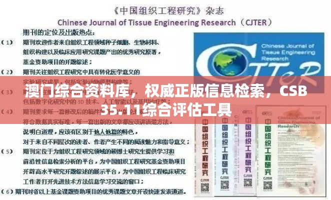 澳门综合资料库，权威正版信息检索，CSB35.11综合评估工具