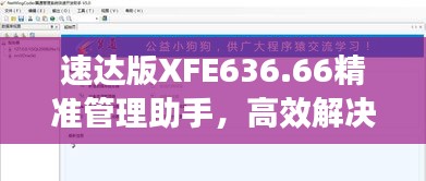 速达版XFE636.66精准管理助手，高效解决问题专家