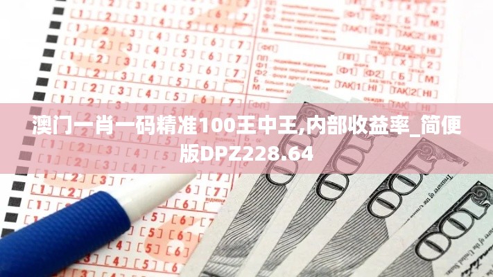 澳门一肖一码精准100王中王,内部收益率_简便版DPZ228.64