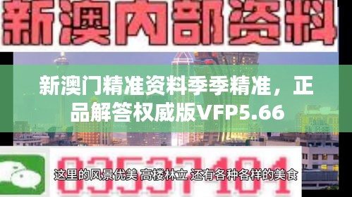 新澳门精准资料季季精准，正品解答权威版VFP5.66