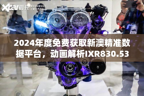 2024年度免费获取新澳精准数据平台，动画解析IXR830.53专业操作指南