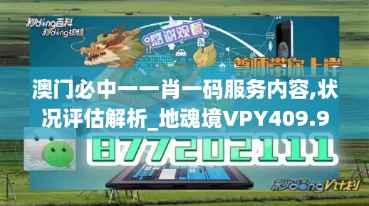 澳门必中一一肖一码服务内容,状况评估解析_地魂境VPY409.92