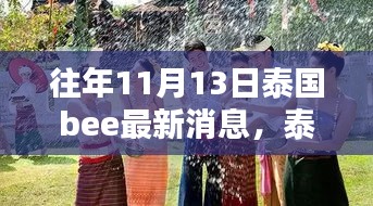 泰国BEE最新动态深度解析与观点阐述，历年11月13日最新消息回顾