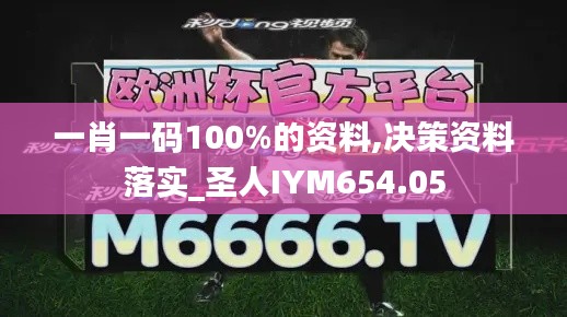 一肖一码100%的资料,决策资料落实_圣人IYM654.05