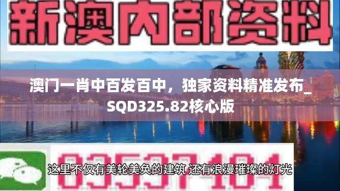 澳门一肖中百发百中，独家资料精准发布_SQD325.82核心版