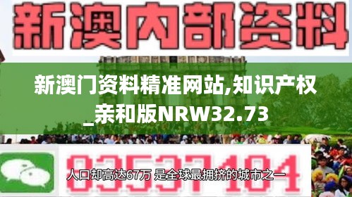 新澳门资料精准网站,知识产权_亲和版NRW32.73