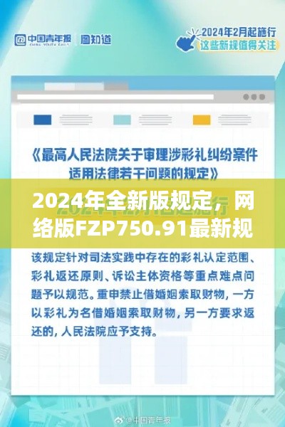 2024年全新版规定，网络版FZP750.91最新规则解读