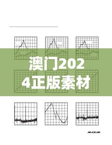 澳门2024正版素材免费公开，EUD192.37国际版动态解答方案