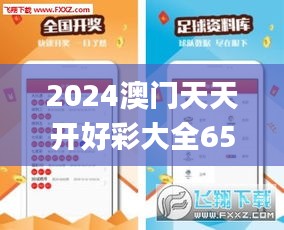 2024澳门天天开好彩大全65期,决策资料落实_电商版YVZ34.48