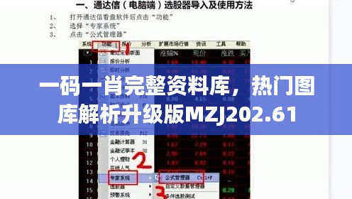 一码一肖完整资料库，热门图库解析升级版MZJ202.61