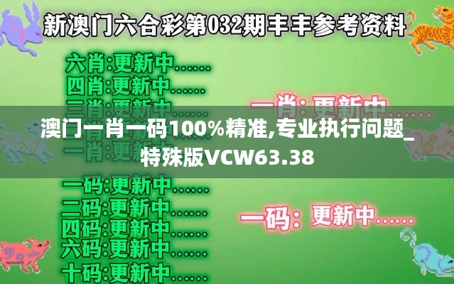 澳门一肖一码100%精准,专业执行问题_特殊版VCW63.38