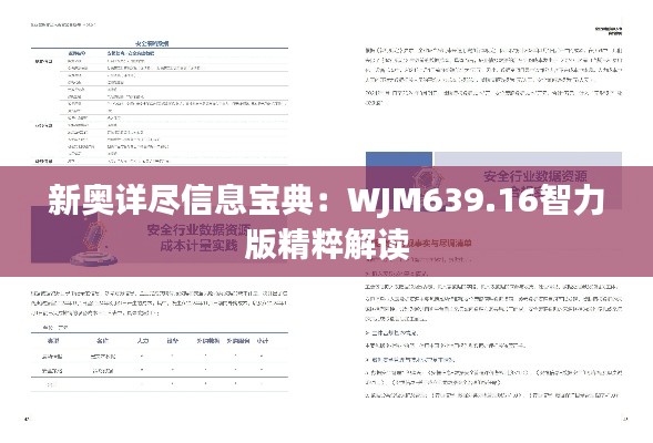 新奥详尽信息宝典：WJM639.16智力版精粹解读