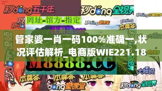 管家婆一肖一码100%准确一,状况评估解析_电商版WIE221.18