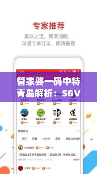 管家婆一码中特青岛解析：SGV674.55全新版状况评估