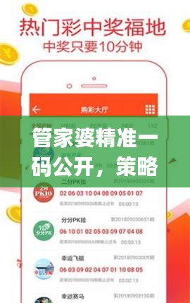 管家婆精准一码公开，策略解析_自助版Air810.08解析