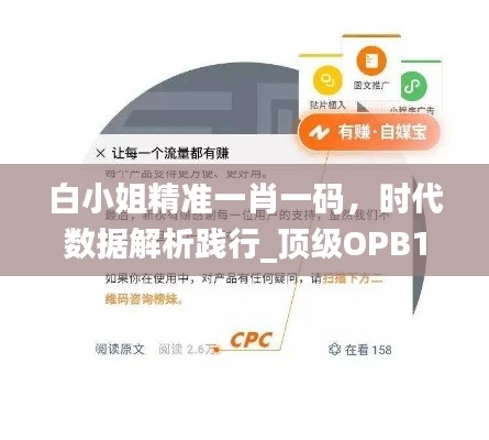 白小姐精准一肖一码，时代数据解析践行_顶级OPB111.21版