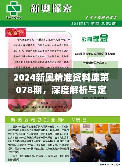 2024新奥精准资料库第078期，深度解析与定义_定制版VUB164.65更新