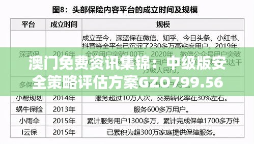 澳门免费资讯集锦：中级版安全策略评估方案GZO799.56