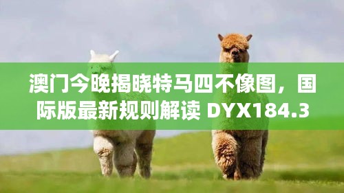 澳门今晚揭晓特马四不像图，国际版最新规则解读 DYX184.33