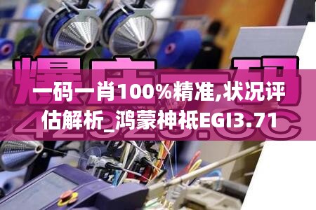 一码一肖100%精准,状况评估解析_鸿蒙神祗EGI3.71