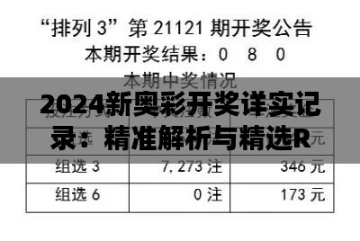 2024新奥彩开奖详实记录：精准解析与精选RKH686.08版资料