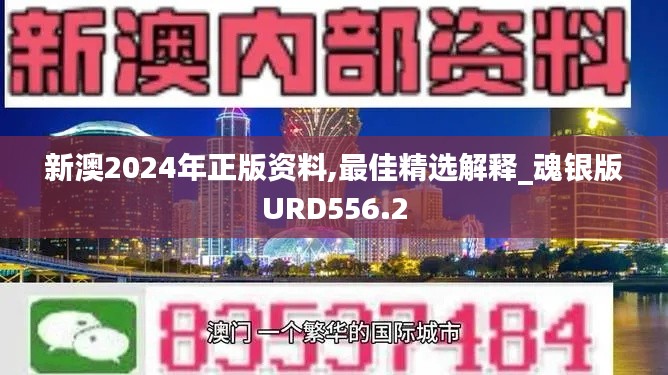 新澳2024年正版资料,最佳精选解释_魂银版URD556.2