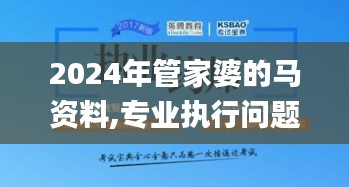 2024年管家婆的马资料,专业执行问题_KJB284.97黄金版