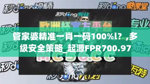 管家婆精准一肖一码100%l？,多级安全策略_起源FPR700.97